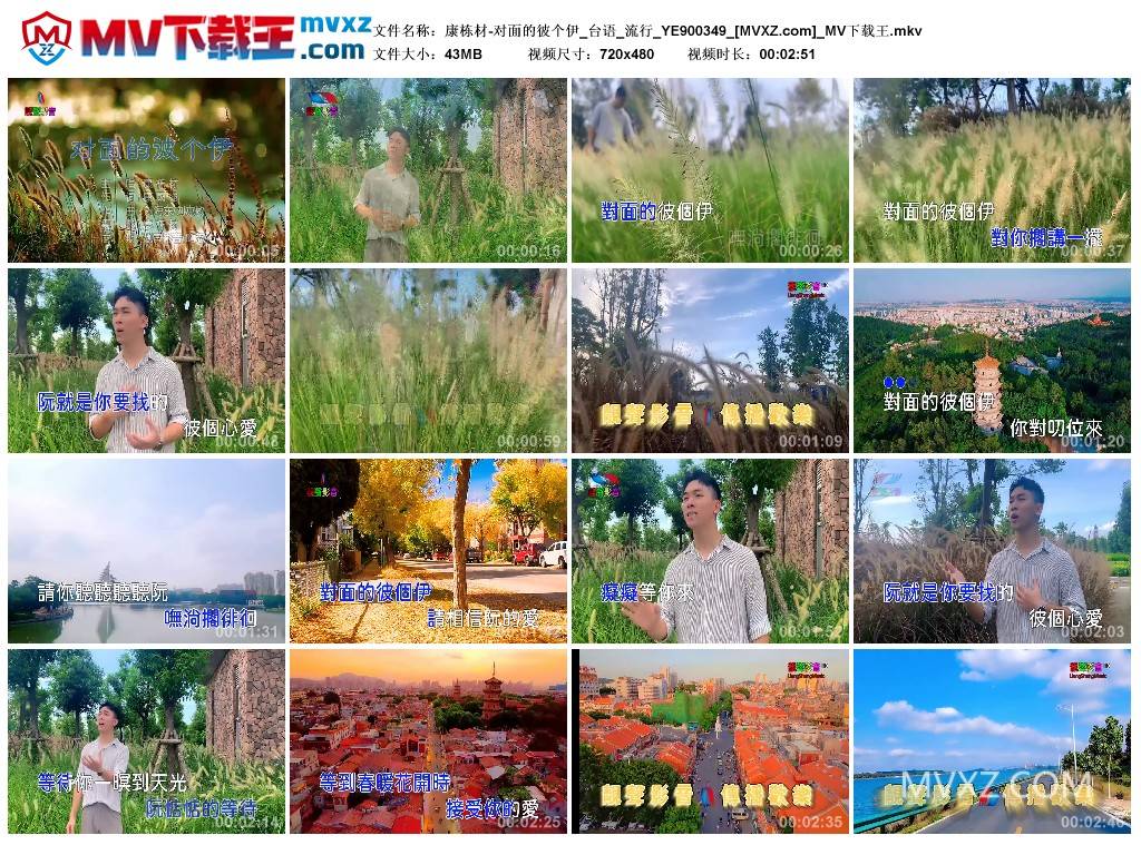 康栋材-对面的彼个伊_台语_流行_YE900349